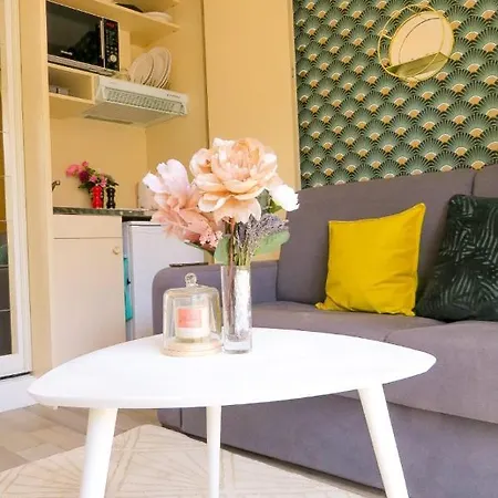 Apartment Avec Balcon Au Sud *